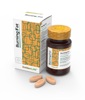 برنینگ فت Burning Fat