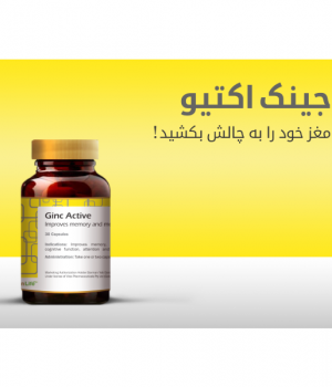 Ginc active
