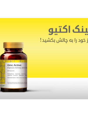 Ginc active